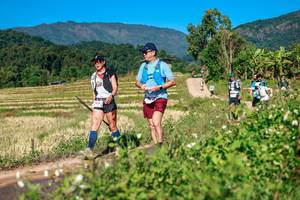 BIB: 
                            <button type="button" onclick="openModal(26686775)" class="btn btn-primary btn-sm float-right btn-popup" data-toggle="modal" data-target=".modal-high-quality">
                        <i class="fas fa-shopping-cart"></i> Add to Cart
                    </button>
                                            <button type="button" onclick="isThisMe(26686775, true)" class="btn btn-success btn-sm float-right btn-popup btn-isme hidden" data-toggle="tooltip" data-placement="bottom" title="นี่คือรูปของคุณใช่ไหม คลิกที่นี่เพื่อเอาเข้าอัลบั้ม">
                        <i class="fas fa-plus"></i> Add to album
                    </button>
                    <button type="button" onclick="isThisMe(26686775, false)" class="btn btn-warning btn-sm float-right btn-popup btn-isnotme hidden">
                        <i class="fas fa-ban"></i> Remove from album
                    </button>