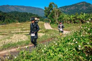 BIB: 
                            <button type="button" onclick="openModal(26686486)" class="btn btn-primary btn-sm float-right btn-popup" data-toggle="modal" data-target=".modal-high-quality">
                        <i class="fas fa-shopping-cart"></i> Add to Cart
                    </button>
                                            <button type="button" onclick="isThisMe(26686486, true)" class="btn btn-success btn-sm float-right btn-popup btn-isme hidden" data-toggle="tooltip" data-placement="bottom" title="นี่คือรูปของคุณใช่ไหม คลิกที่นี่เพื่อเอาเข้าอัลบั้ม">
                        <i class="fas fa-plus"></i> Add to album
                    </button>
                    <button type="button" onclick="isThisMe(26686486, false)" class="btn btn-warning btn-sm float-right btn-popup btn-isnotme hidden">
                        <i class="fas fa-ban"></i> Remove from album
                    </button>