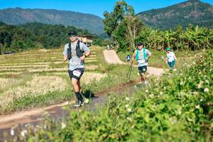 BIB: 
                            <button type="button" onclick="openModal(26687172)" class="btn btn-primary btn-sm float-right btn-popup" data-toggle="modal" data-target=".modal-high-quality">
                        <i class="fas fa-shopping-cart"></i> Add to Cart
                    </button>
                                            <button type="button" onclick="isThisMe(26687172, true)" class="btn btn-success btn-sm float-right btn-popup btn-isme hidden" data-toggle="tooltip" data-placement="bottom" title="นี่คือรูปของคุณใช่ไหม คลิกที่นี่เพื่อเอาเข้าอัลบั้ม">
                        <i class="fas fa-plus"></i> Add to album
                    </button>
                    <button type="button" onclick="isThisMe(26687172, false)" class="btn btn-warning btn-sm float-right btn-popup btn-isnotme hidden">
                        <i class="fas fa-ban"></i> Remove from album
                    </button>