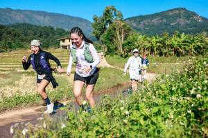 BIB: 
                            <button type="button" onclick="openModal(26687580)" class="btn btn-primary btn-sm float-right btn-popup" data-toggle="modal" data-target=".modal-high-quality">
                        <i class="fas fa-shopping-cart"></i> Add to Cart
                    </button>
                                            <button type="button" onclick="isThisMe(26687580, true)" class="btn btn-success btn-sm float-right btn-popup btn-isme hidden" data-toggle="tooltip" data-placement="bottom" title="นี่คือรูปของคุณใช่ไหม คลิกที่นี่เพื่อเอาเข้าอัลบั้ม">
                        <i class="fas fa-plus"></i> Add to album
                    </button>
                    <button type="button" onclick="isThisMe(26687580, false)" class="btn btn-warning btn-sm float-right btn-popup btn-isnotme hidden">
                        <i class="fas fa-ban"></i> Remove from album
                    </button>