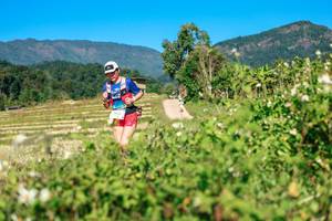 BIB: 
                            <button type="button" onclick="openModal(26686614)" class="btn btn-primary btn-sm float-right btn-popup" data-toggle="modal" data-target=".modal-high-quality">
                        <i class="fas fa-shopping-cart"></i> Add to Cart
                    </button>
                                            <button type="button" onclick="isThisMe(26686614, true)" class="btn btn-success btn-sm float-right btn-popup btn-isme hidden" data-toggle="tooltip" data-placement="bottom" title="นี่คือรูปของคุณใช่ไหม คลิกที่นี่เพื่อเอาเข้าอัลบั้ม">
                        <i class="fas fa-plus"></i> Add to album
                    </button>
                    <button type="button" onclick="isThisMe(26686614, false)" class="btn btn-warning btn-sm float-right btn-popup btn-isnotme hidden">
                        <i class="fas fa-ban"></i> Remove from album
                    </button>