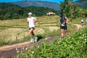 BIB: 
                            <button type="button" onclick="openModal(26686874)" class="btn btn-primary btn-sm float-right btn-popup" data-toggle="modal" data-target=".modal-high-quality">
                        <i class="fas fa-shopping-cart"></i> Add to Cart
                    </button>
                                            <button type="button" onclick="isThisMe(26686874, true)" class="btn btn-success btn-sm float-right btn-popup btn-isme hidden" data-toggle="tooltip" data-placement="bottom" title="นี่คือรูปของคุณใช่ไหม คลิกที่นี่เพื่อเอาเข้าอัลบั้ม">
                        <i class="fas fa-plus"></i> Add to album
                    </button>
                    <button type="button" onclick="isThisMe(26686874, false)" class="btn btn-warning btn-sm float-right btn-popup btn-isnotme hidden">
                        <i class="fas fa-ban"></i> Remove from album
                    </button>