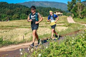 BIB: 
                            <button type="button" onclick="openModal(26686581)" class="btn btn-primary btn-sm float-right btn-popup" data-toggle="modal" data-target=".modal-high-quality">
                        <i class="fas fa-shopping-cart"></i> Add to Cart
                    </button>
                                            <button type="button" onclick="isThisMe(26686581, true)" class="btn btn-success btn-sm float-right btn-popup btn-isme hidden" data-toggle="tooltip" data-placement="bottom" title="นี่คือรูปของคุณใช่ไหม คลิกที่นี่เพื่อเอาเข้าอัลบั้ม">
                        <i class="fas fa-plus"></i> Add to album
                    </button>
                    <button type="button" onclick="isThisMe(26686581, false)" class="btn btn-warning btn-sm float-right btn-popup btn-isnotme hidden">
                        <i class="fas fa-ban"></i> Remove from album
                    </button>