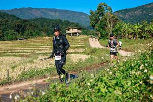 BIB: 
                            <button type="button" onclick="openModal(26686492)" class="btn btn-primary btn-sm float-right btn-popup" data-toggle="modal" data-target=".modal-high-quality">
                        <i class="fas fa-shopping-cart"></i> Add to Cart
                    </button>
                                            <button type="button" onclick="isThisMe(26686492, true)" class="btn btn-success btn-sm float-right btn-popup btn-isme hidden" data-toggle="tooltip" data-placement="bottom" title="นี่คือรูปของคุณใช่ไหม คลิกที่นี่เพื่อเอาเข้าอัลบั้ม">
                        <i class="fas fa-plus"></i> Add to album
                    </button>
                    <button type="button" onclick="isThisMe(26686492, false)" class="btn btn-warning btn-sm float-right btn-popup btn-isnotme hidden">
                        <i class="fas fa-ban"></i> Remove from album
                    </button>