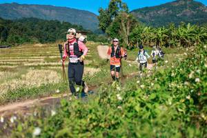 BIB: 
                            <button type="button" onclick="openModal(26686949)" class="btn btn-primary btn-sm float-right btn-popup" data-toggle="modal" data-target=".modal-high-quality">
                        <i class="fas fa-shopping-cart"></i> Add to Cart
                    </button>
                                            <button type="button" onclick="isThisMe(26686949, true)" class="btn btn-success btn-sm float-right btn-popup btn-isme hidden" data-toggle="tooltip" data-placement="bottom" title="นี่คือรูปของคุณใช่ไหม คลิกที่นี่เพื่อเอาเข้าอัลบั้ม">
                        <i class="fas fa-plus"></i> Add to album
                    </button>
                    <button type="button" onclick="isThisMe(26686949, false)" class="btn btn-warning btn-sm float-right btn-popup btn-isnotme hidden">
                        <i class="fas fa-ban"></i> Remove from album
                    </button>