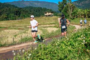 BIB: 
                            <button type="button" onclick="openModal(26686872)" class="btn btn-primary btn-sm float-right btn-popup" data-toggle="modal" data-target=".modal-high-quality">
                        <i class="fas fa-shopping-cart"></i> Add to Cart
                    </button>
                                            <button type="button" onclick="isThisMe(26686872, true)" class="btn btn-success btn-sm float-right btn-popup btn-isme hidden" data-toggle="tooltip" data-placement="bottom" title="นี่คือรูปของคุณใช่ไหม คลิกที่นี่เพื่อเอาเข้าอัลบั้ม">
                        <i class="fas fa-plus"></i> Add to album
                    </button>
                    <button type="button" onclick="isThisMe(26686872, false)" class="btn btn-warning btn-sm float-right btn-popup btn-isnotme hidden">
                        <i class="fas fa-ban"></i> Remove from album
                    </button>