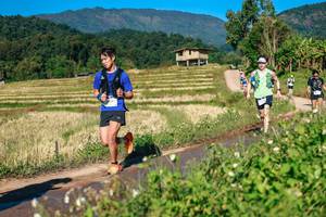 BIB: 
                            <button type="button" onclick="openModal(26686375)" class="btn btn-primary btn-sm float-right btn-popup" data-toggle="modal" data-target=".modal-high-quality">
                        <i class="fas fa-shopping-cart"></i> Add to Cart
                    </button>
                                            <button type="button" onclick="isThisMe(26686375, true)" class="btn btn-success btn-sm float-right btn-popup btn-isme hidden" data-toggle="tooltip" data-placement="bottom" title="นี่คือรูปของคุณใช่ไหม คลิกที่นี่เพื่อเอาเข้าอัลบั้ม">
                        <i class="fas fa-plus"></i> Add to album
                    </button>
                    <button type="button" onclick="isThisMe(26686375, false)" class="btn btn-warning btn-sm float-right btn-popup btn-isnotme hidden">
                        <i class="fas fa-ban"></i> Remove from album
                    </button>