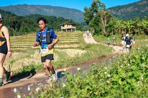 BIB: 
                            <button type="button" onclick="openModal(26687505)" class="btn btn-primary btn-sm float-right btn-popup" data-toggle="modal" data-target=".modal-high-quality">
                        <i class="fas fa-shopping-cart"></i> Add to Cart
                    </button>
                                            <button type="button" onclick="isThisMe(26687505, true)" class="btn btn-success btn-sm float-right btn-popup btn-isme hidden" data-toggle="tooltip" data-placement="bottom" title="นี่คือรูปของคุณใช่ไหม คลิกที่นี่เพื่อเอาเข้าอัลบั้ม">
                        <i class="fas fa-plus"></i> Add to album
                    </button>
                    <button type="button" onclick="isThisMe(26687505, false)" class="btn btn-warning btn-sm float-right btn-popup btn-isnotme hidden">
                        <i class="fas fa-ban"></i> Remove from album
                    </button>