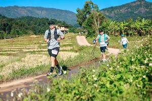 BIB: 
                            <button type="button" onclick="openModal(26687175)" class="btn btn-primary btn-sm float-right btn-popup" data-toggle="modal" data-target=".modal-high-quality">
                        <i class="fas fa-shopping-cart"></i> Add to Cart
                    </button>
                                            <button type="button" onclick="isThisMe(26687175, true)" class="btn btn-success btn-sm float-right btn-popup btn-isme hidden" data-toggle="tooltip" data-placement="bottom" title="นี่คือรูปของคุณใช่ไหม คลิกที่นี่เพื่อเอาเข้าอัลบั้ม">
                        <i class="fas fa-plus"></i> Add to album
                    </button>
                    <button type="button" onclick="isThisMe(26687175, false)" class="btn btn-warning btn-sm float-right btn-popup btn-isnotme hidden">
                        <i class="fas fa-ban"></i> Remove from album
                    </button>