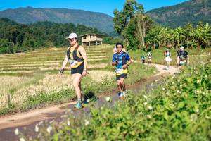 BIB: 
                            <button type="button" onclick="openModal(26687498)" class="btn btn-primary btn-sm float-right btn-popup" data-toggle="modal" data-target=".modal-high-quality">
                        <i class="fas fa-shopping-cart"></i> Add to Cart
                    </button>
                                            <button type="button" onclick="isThisMe(26687498, true)" class="btn btn-success btn-sm float-right btn-popup btn-isme hidden" data-toggle="tooltip" data-placement="bottom" title="นี่คือรูปของคุณใช่ไหม คลิกที่นี่เพื่อเอาเข้าอัลบั้ม">
                        <i class="fas fa-plus"></i> Add to album
                    </button>
                    <button type="button" onclick="isThisMe(26687498, false)" class="btn btn-warning btn-sm float-right btn-popup btn-isnotme hidden">
                        <i class="fas fa-ban"></i> Remove from album
                    </button>