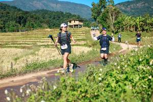 BIB: 
                            <button type="button" onclick="openModal(26686237)" class="btn btn-primary btn-sm float-right btn-popup" data-toggle="modal" data-target=".modal-high-quality">
                        <i class="fas fa-shopping-cart"></i> Add to Cart
                    </button>
                                            <button type="button" onclick="isThisMe(26686237, true)" class="btn btn-success btn-sm float-right btn-popup btn-isme hidden" data-toggle="tooltip" data-placement="bottom" title="นี่คือรูปของคุณใช่ไหม คลิกที่นี่เพื่อเอาเข้าอัลบั้ม">
                        <i class="fas fa-plus"></i> Add to album
                    </button>
                    <button type="button" onclick="isThisMe(26686237, false)" class="btn btn-warning btn-sm float-right btn-popup btn-isnotme hidden">
                        <i class="fas fa-ban"></i> Remove from album
                    </button>