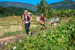 BIB: 
                            <button type="button" onclick="openModal(26686952)" class="btn btn-primary btn-sm float-right btn-popup" data-toggle="modal" data-target=".modal-high-quality">
                        <i class="fas fa-shopping-cart"></i> Add to Cart
                    </button>
                                            <button type="button" onclick="isThisMe(26686952, true)" class="btn btn-success btn-sm float-right btn-popup btn-isme hidden" data-toggle="tooltip" data-placement="bottom" title="นี่คือรูปของคุณใช่ไหม คลิกที่นี่เพื่อเอาเข้าอัลบั้ม">
                        <i class="fas fa-plus"></i> Add to album
                    </button>
                    <button type="button" onclick="isThisMe(26686952, false)" class="btn btn-warning btn-sm float-right btn-popup btn-isnotme hidden">
                        <i class="fas fa-ban"></i> Remove from album
                    </button>