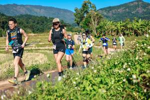 BIB: 
                            <button type="button" onclick="openModal(26686351)" class="btn btn-primary btn-sm float-right btn-popup" data-toggle="modal" data-target=".modal-high-quality">
                        <i class="fas fa-shopping-cart"></i> Add to Cart
                    </button>
                                            <button type="button" onclick="isThisMe(26686351, true)" class="btn btn-success btn-sm float-right btn-popup btn-isme hidden" data-toggle="tooltip" data-placement="bottom" title="นี่คือรูปของคุณใช่ไหม คลิกที่นี่เพื่อเอาเข้าอัลบั้ม">
                        <i class="fas fa-plus"></i> Add to album
                    </button>
                    <button type="button" onclick="isThisMe(26686351, false)" class="btn btn-warning btn-sm float-right btn-popup btn-isnotme hidden">
                        <i class="fas fa-ban"></i> Remove from album
                    </button>