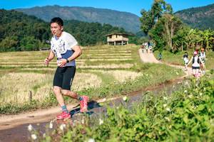 BIB: 
                            <button type="button" onclick="openModal(26687269)" class="btn btn-primary btn-sm float-right btn-popup" data-toggle="modal" data-target=".modal-high-quality">
                        <i class="fas fa-shopping-cart"></i> Add to Cart
                    </button>
                                            <button type="button" onclick="isThisMe(26687269, true)" class="btn btn-success btn-sm float-right btn-popup btn-isme hidden" data-toggle="tooltip" data-placement="bottom" title="นี่คือรูปของคุณใช่ไหม คลิกที่นี่เพื่อเอาเข้าอัลบั้ม">
                        <i class="fas fa-plus"></i> Add to album
                    </button>
                    <button type="button" onclick="isThisMe(26687269, false)" class="btn btn-warning btn-sm float-right btn-popup btn-isnotme hidden">
                        <i class="fas fa-ban"></i> Remove from album
                    </button>