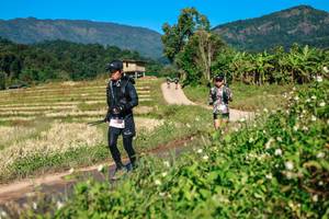 BIB: 
                            <button type="button" onclick="openModal(26686490)" class="btn btn-primary btn-sm float-right btn-popup" data-toggle="modal" data-target=".modal-high-quality">
                        <i class="fas fa-shopping-cart"></i> Add to Cart
                    </button>
                                            <button type="button" onclick="isThisMe(26686490, true)" class="btn btn-success btn-sm float-right btn-popup btn-isme hidden" data-toggle="tooltip" data-placement="bottom" title="นี่คือรูปของคุณใช่ไหม คลิกที่นี่เพื่อเอาเข้าอัลบั้ม">
                        <i class="fas fa-plus"></i> Add to album
                    </button>
                    <button type="button" onclick="isThisMe(26686490, false)" class="btn btn-warning btn-sm float-right btn-popup btn-isnotme hidden">
                        <i class="fas fa-ban"></i> Remove from album
                    </button>