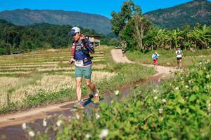 BIB: 
                            <button type="button" onclick="openModal(26687622)" class="btn btn-primary btn-sm float-right btn-popup" data-toggle="modal" data-target=".modal-high-quality">
                        <i class="fas fa-shopping-cart"></i> Add to Cart
                    </button>
                                            <button type="button" onclick="isThisMe(26687622, true)" class="btn btn-success btn-sm float-right btn-popup btn-isme hidden" data-toggle="tooltip" data-placement="bottom" title="นี่คือรูปของคุณใช่ไหม คลิกที่นี่เพื่อเอาเข้าอัลบั้ม">
                        <i class="fas fa-plus"></i> Add to album
                    </button>
                    <button type="button" onclick="isThisMe(26687622, false)" class="btn btn-warning btn-sm float-right btn-popup btn-isnotme hidden">
                        <i class="fas fa-ban"></i> Remove from album
                    </button>