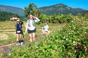 BIB: 
                            <button type="button" onclick="openModal(26687568)" class="btn btn-primary btn-sm float-right btn-popup" data-toggle="modal" data-target=".modal-high-quality">
                        <i class="fas fa-shopping-cart"></i> Add to Cart
                    </button>
                                            <button type="button" onclick="isThisMe(26687568, true)" class="btn btn-success btn-sm float-right btn-popup btn-isme hidden" data-toggle="tooltip" data-placement="bottom" title="นี่คือรูปของคุณใช่ไหม คลิกที่นี่เพื่อเอาเข้าอัลบั้ม">
                        <i class="fas fa-plus"></i> Add to album
                    </button>
                    <button type="button" onclick="isThisMe(26687568, false)" class="btn btn-warning btn-sm float-right btn-popup btn-isnotme hidden">
                        <i class="fas fa-ban"></i> Remove from album
                    </button>