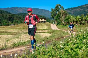 BIB: 
                            <button type="button" onclick="openModal(26687012)" class="btn btn-primary btn-sm float-right btn-popup" data-toggle="modal" data-target=".modal-high-quality">
                        <i class="fas fa-shopping-cart"></i> Add to Cart
                    </button>
                                            <button type="button" onclick="isThisMe(26687012, true)" class="btn btn-success btn-sm float-right btn-popup btn-isme hidden" data-toggle="tooltip" data-placement="bottom" title="นี่คือรูปของคุณใช่ไหม คลิกที่นี่เพื่อเอาเข้าอัลบั้ม">
                        <i class="fas fa-plus"></i> Add to album
                    </button>
                    <button type="button" onclick="isThisMe(26687012, false)" class="btn btn-warning btn-sm float-right btn-popup btn-isnotme hidden">
                        <i class="fas fa-ban"></i> Remove from album
                    </button>