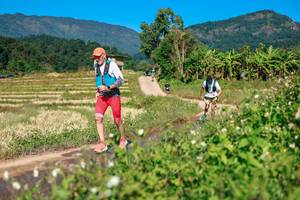 BIB: 
                            <button type="button" onclick="openModal(26687642)" class="btn btn-primary btn-sm float-right btn-popup" data-toggle="modal" data-target=".modal-high-quality">
                        <i class="fas fa-shopping-cart"></i> Add to Cart
                    </button>
                                            <button type="button" onclick="isThisMe(26687642, true)" class="btn btn-success btn-sm float-right btn-popup btn-isme hidden" data-toggle="tooltip" data-placement="bottom" title="นี่คือรูปของคุณใช่ไหม คลิกที่นี่เพื่อเอาเข้าอัลบั้ม">
                        <i class="fas fa-plus"></i> Add to album
                    </button>
                    <button type="button" onclick="isThisMe(26687642, false)" class="btn btn-warning btn-sm float-right btn-popup btn-isnotme hidden">
                        <i class="fas fa-ban"></i> Remove from album
                    </button>