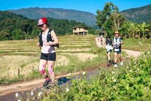 BIB: 
                            <button type="button" onclick="openModal(26687279)" class="btn btn-primary btn-sm float-right btn-popup" data-toggle="modal" data-target=".modal-high-quality">
                        <i class="fas fa-shopping-cart"></i> Add to Cart
                    </button>
                                            <button type="button" onclick="isThisMe(26687279, true)" class="btn btn-success btn-sm float-right btn-popup btn-isme hidden" data-toggle="tooltip" data-placement="bottom" title="นี่คือรูปของคุณใช่ไหม คลิกที่นี่เพื่อเอาเข้าอัลบั้ม">
                        <i class="fas fa-plus"></i> Add to album
                    </button>
                    <button type="button" onclick="isThisMe(26687279, false)" class="btn btn-warning btn-sm float-right btn-popup btn-isnotme hidden">
                        <i class="fas fa-ban"></i> Remove from album
                    </button>