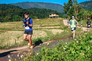 BIB: 
                            <button type="button" onclick="openModal(26686376)" class="btn btn-primary btn-sm float-right btn-popup" data-toggle="modal" data-target=".modal-high-quality">
                        <i class="fas fa-shopping-cart"></i> Add to Cart
                    </button>
                                            <button type="button" onclick="isThisMe(26686376, true)" class="btn btn-success btn-sm float-right btn-popup btn-isme hidden" data-toggle="tooltip" data-placement="bottom" title="นี่คือรูปของคุณใช่ไหม คลิกที่นี่เพื่อเอาเข้าอัลบั้ม">
                        <i class="fas fa-plus"></i> Add to album
                    </button>
                    <button type="button" onclick="isThisMe(26686376, false)" class="btn btn-warning btn-sm float-right btn-popup btn-isnotme hidden">
                        <i class="fas fa-ban"></i> Remove from album
                    </button>