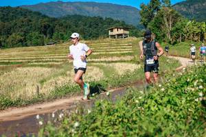 BIB: 
                            <button type="button" onclick="openModal(26686875)" class="btn btn-primary btn-sm float-right btn-popup" data-toggle="modal" data-target=".modal-high-quality">
                        <i class="fas fa-shopping-cart"></i> Add to Cart
                    </button>
                                            <button type="button" onclick="isThisMe(26686875, true)" class="btn btn-success btn-sm float-right btn-popup btn-isme hidden" data-toggle="tooltip" data-placement="bottom" title="นี่คือรูปของคุณใช่ไหม คลิกที่นี่เพื่อเอาเข้าอัลบั้ม">
                        <i class="fas fa-plus"></i> Add to album
                    </button>
                    <button type="button" onclick="isThisMe(26686875, false)" class="btn btn-warning btn-sm float-right btn-popup btn-isnotme hidden">
                        <i class="fas fa-ban"></i> Remove from album
                    </button>