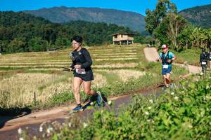 BIB: 
                            <button type="button" onclick="openModal(26686471)" class="btn btn-primary btn-sm float-right btn-popup" data-toggle="modal" data-target=".modal-high-quality">
                        <i class="fas fa-shopping-cart"></i> Add to Cart
                    </button>
                                            <button type="button" onclick="isThisMe(26686471, true)" class="btn btn-success btn-sm float-right btn-popup btn-isme hidden" data-toggle="tooltip" data-placement="bottom" title="นี่คือรูปของคุณใช่ไหม คลิกที่นี่เพื่อเอาเข้าอัลบั้ม">
                        <i class="fas fa-plus"></i> Add to album
                    </button>
                    <button type="button" onclick="isThisMe(26686471, false)" class="btn btn-warning btn-sm float-right btn-popup btn-isnotme hidden">
                        <i class="fas fa-ban"></i> Remove from album
                    </button>