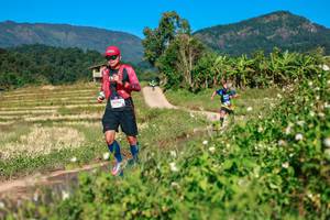 BIB: 
                            <button type="button" onclick="openModal(26687000)" class="btn btn-primary btn-sm float-right btn-popup" data-toggle="modal" data-target=".modal-high-quality">
                        <i class="fas fa-shopping-cart"></i> Add to Cart
                    </button>
                                            <button type="button" onclick="isThisMe(26687000, true)" class="btn btn-success btn-sm float-right btn-popup btn-isme hidden" data-toggle="tooltip" data-placement="bottom" title="นี่คือรูปของคุณใช่ไหม คลิกที่นี่เพื่อเอาเข้าอัลบั้ม">
                        <i class="fas fa-plus"></i> Add to album
                    </button>
                    <button type="button" onclick="isThisMe(26687000, false)" class="btn btn-warning btn-sm float-right btn-popup btn-isnotme hidden">
                        <i class="fas fa-ban"></i> Remove from album
                    </button>