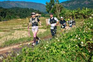 BIB: 
                            <button type="button" onclick="openModal(26686418)" class="btn btn-primary btn-sm float-right btn-popup" data-toggle="modal" data-target=".modal-high-quality">
                        <i class="fas fa-shopping-cart"></i> Add to Cart
                    </button>
                                            <button type="button" onclick="isThisMe(26686418, true)" class="btn btn-success btn-sm float-right btn-popup btn-isme hidden" data-toggle="tooltip" data-placement="bottom" title="นี่คือรูปของคุณใช่ไหม คลิกที่นี่เพื่อเอาเข้าอัลบั้ม">
                        <i class="fas fa-plus"></i> Add to album
                    </button>
                    <button type="button" onclick="isThisMe(26686418, false)" class="btn btn-warning btn-sm float-right btn-popup btn-isnotme hidden">
                        <i class="fas fa-ban"></i> Remove from album
                    </button>