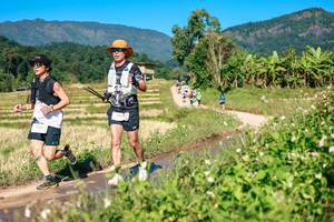 BIB: 
                            <button type="button" onclick="openModal(26687287)" class="btn btn-primary btn-sm float-right btn-popup" data-toggle="modal" data-target=".modal-high-quality">
                        <i class="fas fa-shopping-cart"></i> Add to Cart
                    </button>
                                            <button type="button" onclick="isThisMe(26687287, true)" class="btn btn-success btn-sm float-right btn-popup btn-isme hidden" data-toggle="tooltip" data-placement="bottom" title="นี่คือรูปของคุณใช่ไหม คลิกที่นี่เพื่อเอาเข้าอัลบั้ม">
                        <i class="fas fa-plus"></i> Add to album
                    </button>
                    <button type="button" onclick="isThisMe(26687287, false)" class="btn btn-warning btn-sm float-right btn-popup btn-isnotme hidden">
                        <i class="fas fa-ban"></i> Remove from album
                    </button>