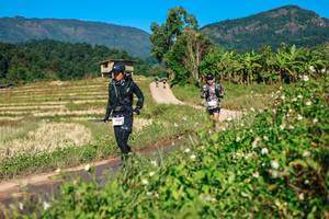 BIB: 
                            <button type="button" onclick="openModal(26686484)" class="btn btn-primary btn-sm float-right btn-popup" data-toggle="modal" data-target=".modal-high-quality">
                        <i class="fas fa-shopping-cart"></i> Add to Cart
                    </button>
                                            <button type="button" onclick="isThisMe(26686484, true)" class="btn btn-success btn-sm float-right btn-popup btn-isme hidden" data-toggle="tooltip" data-placement="bottom" title="นี่คือรูปของคุณใช่ไหม คลิกที่นี่เพื่อเอาเข้าอัลบั้ม">
                        <i class="fas fa-plus"></i> Add to album
                    </button>
                    <button type="button" onclick="isThisMe(26686484, false)" class="btn btn-warning btn-sm float-right btn-popup btn-isnotme hidden">
                        <i class="fas fa-ban"></i> Remove from album
                    </button>