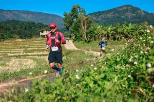 BIB: 
                            <button type="button" onclick="openModal(26687003)" class="btn btn-primary btn-sm float-right btn-popup" data-toggle="modal" data-target=".modal-high-quality">
                        <i class="fas fa-shopping-cart"></i> Add to Cart
                    </button>
                                            <button type="button" onclick="isThisMe(26687003, true)" class="btn btn-success btn-sm float-right btn-popup btn-isme hidden" data-toggle="tooltip" data-placement="bottom" title="นี่คือรูปของคุณใช่ไหม คลิกที่นี่เพื่อเอาเข้าอัลบั้ม">
                        <i class="fas fa-plus"></i> Add to album
                    </button>
                    <button type="button" onclick="isThisMe(26687003, false)" class="btn btn-warning btn-sm float-right btn-popup btn-isnotme hidden">
                        <i class="fas fa-ban"></i> Remove from album
                    </button>