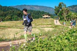 BIB: 
                            <button type="button" onclick="openModal(26686671)" class="btn btn-primary btn-sm float-right btn-popup" data-toggle="modal" data-target=".modal-high-quality">
                        <i class="fas fa-shopping-cart"></i> Add to Cart
                    </button>
                                            <button type="button" onclick="isThisMe(26686671, true)" class="btn btn-success btn-sm float-right btn-popup btn-isme hidden" data-toggle="tooltip" data-placement="bottom" title="นี่คือรูปของคุณใช่ไหม คลิกที่นี่เพื่อเอาเข้าอัลบั้ม">
                        <i class="fas fa-plus"></i> Add to album
                    </button>
                    <button type="button" onclick="isThisMe(26686671, false)" class="btn btn-warning btn-sm float-right btn-popup btn-isnotme hidden">
                        <i class="fas fa-ban"></i> Remove from album
                    </button>