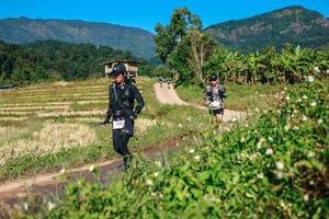 BIB: 
                            <button type="button" onclick="openModal(26686483)" class="btn btn-primary btn-sm float-right btn-popup" data-toggle="modal" data-target=".modal-high-quality">
                        <i class="fas fa-shopping-cart"></i> Add to Cart
                    </button>
                                            <button type="button" onclick="isThisMe(26686483, true)" class="btn btn-success btn-sm float-right btn-popup btn-isme hidden" data-toggle="tooltip" data-placement="bottom" title="นี่คือรูปของคุณใช่ไหม คลิกที่นี่เพื่อเอาเข้าอัลบั้ม">
                        <i class="fas fa-plus"></i> Add to album
                    </button>
                    <button type="button" onclick="isThisMe(26686483, false)" class="btn btn-warning btn-sm float-right btn-popup btn-isnotme hidden">
                        <i class="fas fa-ban"></i> Remove from album
                    </button>