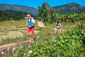 BIB: 
                            <button type="button" onclick="openModal(26687641)" class="btn btn-primary btn-sm float-right btn-popup" data-toggle="modal" data-target=".modal-high-quality">
                        <i class="fas fa-shopping-cart"></i> Add to Cart
                    </button>
                                            <button type="button" onclick="isThisMe(26687641, true)" class="btn btn-success btn-sm float-right btn-popup btn-isme hidden" data-toggle="tooltip" data-placement="bottom" title="นี่คือรูปของคุณใช่ไหม คลิกที่นี่เพื่อเอาเข้าอัลบั้ม">
                        <i class="fas fa-plus"></i> Add to album
                    </button>
                    <button type="button" onclick="isThisMe(26687641, false)" class="btn btn-warning btn-sm float-right btn-popup btn-isnotme hidden">
                        <i class="fas fa-ban"></i> Remove from album
                    </button>