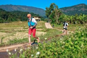 BIB: 
                            <button type="button" onclick="openModal(26687644)" class="btn btn-primary btn-sm float-right btn-popup" data-toggle="modal" data-target=".modal-high-quality">
                        <i class="fas fa-shopping-cart"></i> Add to Cart
                    </button>
                                            <button type="button" onclick="isThisMe(26687644, true)" class="btn btn-success btn-sm float-right btn-popup btn-isme hidden" data-toggle="tooltip" data-placement="bottom" title="นี่คือรูปของคุณใช่ไหม คลิกที่นี่เพื่อเอาเข้าอัลบั้ม">
                        <i class="fas fa-plus"></i> Add to album
                    </button>
                    <button type="button" onclick="isThisMe(26687644, false)" class="btn btn-warning btn-sm float-right btn-popup btn-isnotme hidden">
                        <i class="fas fa-ban"></i> Remove from album
                    </button>