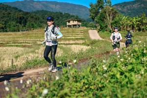 BIB: 
                            <button type="button" onclick="openModal(26686974)" class="btn btn-primary btn-sm float-right btn-popup" data-toggle="modal" data-target=".modal-high-quality">
                        <i class="fas fa-shopping-cart"></i> Add to Cart
                    </button>
                                            <button type="button" onclick="isThisMe(26686974, true)" class="btn btn-success btn-sm float-right btn-popup btn-isme hidden" data-toggle="tooltip" data-placement="bottom" title="นี่คือรูปของคุณใช่ไหม คลิกที่นี่เพื่อเอาเข้าอัลบั้ม">
                        <i class="fas fa-plus"></i> Add to album
                    </button>
                    <button type="button" onclick="isThisMe(26686974, false)" class="btn btn-warning btn-sm float-right btn-popup btn-isnotme hidden">
                        <i class="fas fa-ban"></i> Remove from album
                    </button>