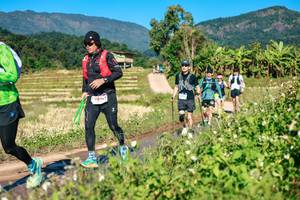 BIB: 
                            <button type="button" onclick="openModal(26687330)" class="btn btn-primary btn-sm float-right btn-popup" data-toggle="modal" data-target=".modal-high-quality">
                        <i class="fas fa-shopping-cart"></i> Add to Cart
                    </button>
                                            <button type="button" onclick="isThisMe(26687330, true)" class="btn btn-success btn-sm float-right btn-popup btn-isme hidden" data-toggle="tooltip" data-placement="bottom" title="นี่คือรูปของคุณใช่ไหม คลิกที่นี่เพื่อเอาเข้าอัลบั้ม">
                        <i class="fas fa-plus"></i> Add to album
                    </button>
                    <button type="button" onclick="isThisMe(26687330, false)" class="btn btn-warning btn-sm float-right btn-popup btn-isnotme hidden">
                        <i class="fas fa-ban"></i> Remove from album
                    </button>