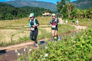 BIB: 
                            <button type="button" onclick="openModal(26687555)" class="btn btn-primary btn-sm float-right btn-popup" data-toggle="modal" data-target=".modal-high-quality">
                        <i class="fas fa-shopping-cart"></i> Add to Cart
                    </button>
                                            <button type="button" onclick="isThisMe(26687555, true)" class="btn btn-success btn-sm float-right btn-popup btn-isme hidden" data-toggle="tooltip" data-placement="bottom" title="นี่คือรูปของคุณใช่ไหม คลิกที่นี่เพื่อเอาเข้าอัลบั้ม">
                        <i class="fas fa-plus"></i> Add to album
                    </button>
                    <button type="button" onclick="isThisMe(26687555, false)" class="btn btn-warning btn-sm float-right btn-popup btn-isnotme hidden">
                        <i class="fas fa-ban"></i> Remove from album
                    </button>