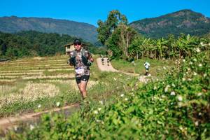 BIB: 
                            <button type="button" onclick="openModal(26686506)" class="btn btn-primary btn-sm float-right btn-popup" data-toggle="modal" data-target=".modal-high-quality">
                        <i class="fas fa-shopping-cart"></i> Add to Cart
                    </button>
                                            <button type="button" onclick="isThisMe(26686506, true)" class="btn btn-success btn-sm float-right btn-popup btn-isme hidden" data-toggle="tooltip" data-placement="bottom" title="นี่คือรูปของคุณใช่ไหม คลิกที่นี่เพื่อเอาเข้าอัลบั้ม">
                        <i class="fas fa-plus"></i> Add to album
                    </button>
                    <button type="button" onclick="isThisMe(26686506, false)" class="btn btn-warning btn-sm float-right btn-popup btn-isnotme hidden">
                        <i class="fas fa-ban"></i> Remove from album
                    </button>