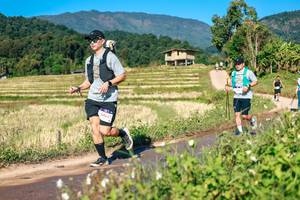 BIB: 
                            <button type="button" onclick="openModal(26687189)" class="btn btn-primary btn-sm float-right btn-popup" data-toggle="modal" data-target=".modal-high-quality">
                        <i class="fas fa-shopping-cart"></i> Add to Cart
                    </button>
                                            <button type="button" onclick="isThisMe(26687189, true)" class="btn btn-success btn-sm float-right btn-popup btn-isme hidden" data-toggle="tooltip" data-placement="bottom" title="นี่คือรูปของคุณใช่ไหม คลิกที่นี่เพื่อเอาเข้าอัลบั้ม">
                        <i class="fas fa-plus"></i> Add to album
                    </button>
                    <button type="button" onclick="isThisMe(26687189, false)" class="btn btn-warning btn-sm float-right btn-popup btn-isnotme hidden">
                        <i class="fas fa-ban"></i> Remove from album
                    </button>