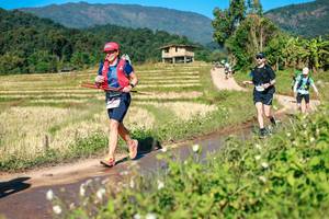 BIB: 
                            <button type="button" onclick="openModal(26687114)" class="btn btn-primary btn-sm float-right btn-popup" data-toggle="modal" data-target=".modal-high-quality">
                        <i class="fas fa-shopping-cart"></i> Add to Cart
                    </button>
                                            <button type="button" onclick="isThisMe(26687114, true)" class="btn btn-success btn-sm float-right btn-popup btn-isme hidden" data-toggle="tooltip" data-placement="bottom" title="นี่คือรูปของคุณใช่ไหม คลิกที่นี่เพื่อเอาเข้าอัลบั้ม">
                        <i class="fas fa-plus"></i> Add to album
                    </button>
                    <button type="button" onclick="isThisMe(26687114, false)" class="btn btn-warning btn-sm float-right btn-popup btn-isnotme hidden">
                        <i class="fas fa-ban"></i> Remove from album
                    </button>