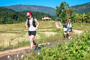 BIB: 
                            <button type="button" onclick="openModal(26687275)" class="btn btn-primary btn-sm float-right btn-popup" data-toggle="modal" data-target=".modal-high-quality">
                        <i class="fas fa-shopping-cart"></i> Add to Cart
                    </button>
                                            <button type="button" onclick="isThisMe(26687275, true)" class="btn btn-success btn-sm float-right btn-popup btn-isme hidden" data-toggle="tooltip" data-placement="bottom" title="นี่คือรูปของคุณใช่ไหม คลิกที่นี่เพื่อเอาเข้าอัลบั้ม">
                        <i class="fas fa-plus"></i> Add to album
                    </button>
                    <button type="button" onclick="isThisMe(26687275, false)" class="btn btn-warning btn-sm float-right btn-popup btn-isnotme hidden">
                        <i class="fas fa-ban"></i> Remove from album
                    </button>