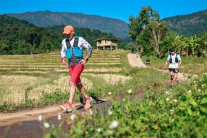 BIB: 
                            <button type="button" onclick="openModal(26687648)" class="btn btn-primary btn-sm float-right btn-popup" data-toggle="modal" data-target=".modal-high-quality">
                        <i class="fas fa-shopping-cart"></i> Add to Cart
                    </button>
                                            <button type="button" onclick="isThisMe(26687648, true)" class="btn btn-success btn-sm float-right btn-popup btn-isme hidden" data-toggle="tooltip" data-placement="bottom" title="นี่คือรูปของคุณใช่ไหม คลิกที่นี่เพื่อเอาเข้าอัลบั้ม">
                        <i class="fas fa-plus"></i> Add to album
                    </button>
                    <button type="button" onclick="isThisMe(26687648, false)" class="btn btn-warning btn-sm float-right btn-popup btn-isnotme hidden">
                        <i class="fas fa-ban"></i> Remove from album
                    </button>