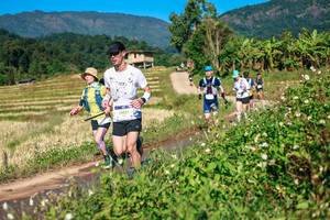 BIB: 
                            <button type="button" onclick="openModal(26686841)" class="btn btn-primary btn-sm float-right btn-popup" data-toggle="modal" data-target=".modal-high-quality">
                        <i class="fas fa-shopping-cart"></i> Add to Cart
                    </button>
                                            <button type="button" onclick="isThisMe(26686841, true)" class="btn btn-success btn-sm float-right btn-popup btn-isme hidden" data-toggle="tooltip" data-placement="bottom" title="นี่คือรูปของคุณใช่ไหม คลิกที่นี่เพื่อเอาเข้าอัลบั้ม">
                        <i class="fas fa-plus"></i> Add to album
                    </button>
                    <button type="button" onclick="isThisMe(26686841, false)" class="btn btn-warning btn-sm float-right btn-popup btn-isnotme hidden">
                        <i class="fas fa-ban"></i> Remove from album
                    </button>