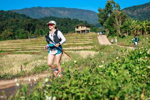 BIB: 
                            <button type="button" onclick="openModal(26686717)" class="btn btn-primary btn-sm float-right btn-popup" data-toggle="modal" data-target=".modal-high-quality">
                        <i class="fas fa-shopping-cart"></i> Add to Cart
                    </button>
                                            <button type="button" onclick="isThisMe(26686717, true)" class="btn btn-success btn-sm float-right btn-popup btn-isme hidden" data-toggle="tooltip" data-placement="bottom" title="นี่คือรูปของคุณใช่ไหม คลิกที่นี่เพื่อเอาเข้าอัลบั้ม">
                        <i class="fas fa-plus"></i> Add to album
                    </button>
                    <button type="button" onclick="isThisMe(26686717, false)" class="btn btn-warning btn-sm float-right btn-popup btn-isnotme hidden">
                        <i class="fas fa-ban"></i> Remove from album
                    </button>