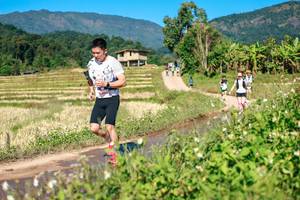 BIB: 
                            <button type="button" onclick="openModal(26687263)" class="btn btn-primary btn-sm float-right btn-popup" data-toggle="modal" data-target=".modal-high-quality">
                        <i class="fas fa-shopping-cart"></i> Add to Cart
                    </button>
                                            <button type="button" onclick="isThisMe(26687263, true)" class="btn btn-success btn-sm float-right btn-popup btn-isme hidden" data-toggle="tooltip" data-placement="bottom" title="นี่คือรูปของคุณใช่ไหม คลิกที่นี่เพื่อเอาเข้าอัลบั้ม">
                        <i class="fas fa-plus"></i> Add to album
                    </button>
                    <button type="button" onclick="isThisMe(26687263, false)" class="btn btn-warning btn-sm float-right btn-popup btn-isnotme hidden">
                        <i class="fas fa-ban"></i> Remove from album
                    </button>