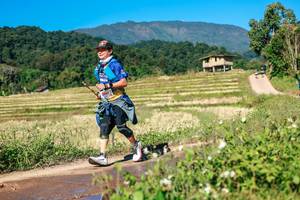 BIB: 
                            <button type="button" onclick="openModal(26689112)" class="btn btn-primary btn-sm float-right btn-popup" data-toggle="modal" data-target=".modal-high-quality">
                        <i class="fas fa-shopping-cart"></i> Add to Cart
                    </button>
                                            <button type="button" onclick="isThisMe(26689112, true)" class="btn btn-success btn-sm float-right btn-popup btn-isme hidden" data-toggle="tooltip" data-placement="bottom" title="นี่คือรูปของคุณใช่ไหม คลิกที่นี่เพื่อเอาเข้าอัลบั้ม">
                        <i class="fas fa-plus"></i> Add to album
                    </button>
                    <button type="button" onclick="isThisMe(26689112, false)" class="btn btn-warning btn-sm float-right btn-popup btn-isnotme hidden">
                        <i class="fas fa-ban"></i> Remove from album
                    </button>