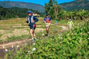 BIB: 
                            <button type="button" onclick="openModal(26688044)" class="btn btn-primary btn-sm float-right btn-popup" data-toggle="modal" data-target=".modal-high-quality">
                        <i class="fas fa-shopping-cart"></i> Add to Cart
                    </button>
                                            <button type="button" onclick="isThisMe(26688044, true)" class="btn btn-success btn-sm float-right btn-popup btn-isme hidden" data-toggle="tooltip" data-placement="bottom" title="นี่คือรูปของคุณใช่ไหม คลิกที่นี่เพื่อเอาเข้าอัลบั้ม">
                        <i class="fas fa-plus"></i> Add to album
                    </button>
                    <button type="button" onclick="isThisMe(26688044, false)" class="btn btn-warning btn-sm float-right btn-popup btn-isnotme hidden">
                        <i class="fas fa-ban"></i> Remove from album
                    </button>