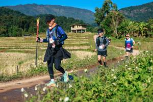 BIB: 
                            <button type="button" onclick="openModal(26688555)" class="btn btn-primary btn-sm float-right btn-popup" data-toggle="modal" data-target=".modal-high-quality">
                        <i class="fas fa-shopping-cart"></i> Add to Cart
                    </button>
                                            <button type="button" onclick="isThisMe(26688555, true)" class="btn btn-success btn-sm float-right btn-popup btn-isme hidden" data-toggle="tooltip" data-placement="bottom" title="นี่คือรูปของคุณใช่ไหม คลิกที่นี่เพื่อเอาเข้าอัลบั้ม">
                        <i class="fas fa-plus"></i> Add to album
                    </button>
                    <button type="button" onclick="isThisMe(26688555, false)" class="btn btn-warning btn-sm float-right btn-popup btn-isnotme hidden">
                        <i class="fas fa-ban"></i> Remove from album
                    </button>